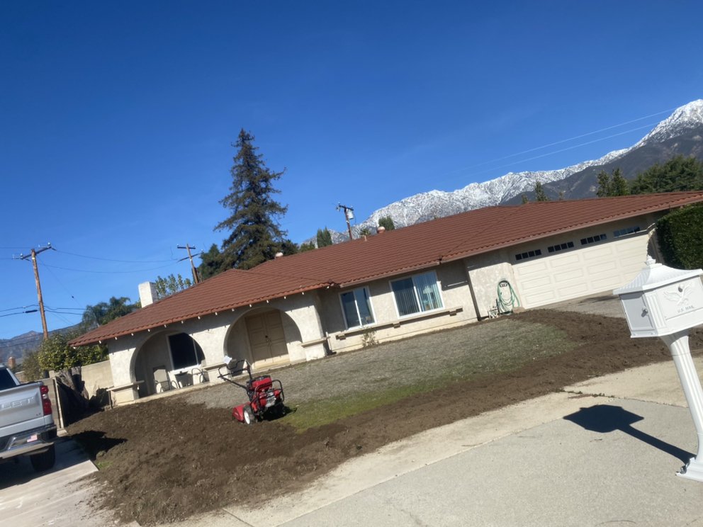Tree trimming project by Juan's Gardening Service